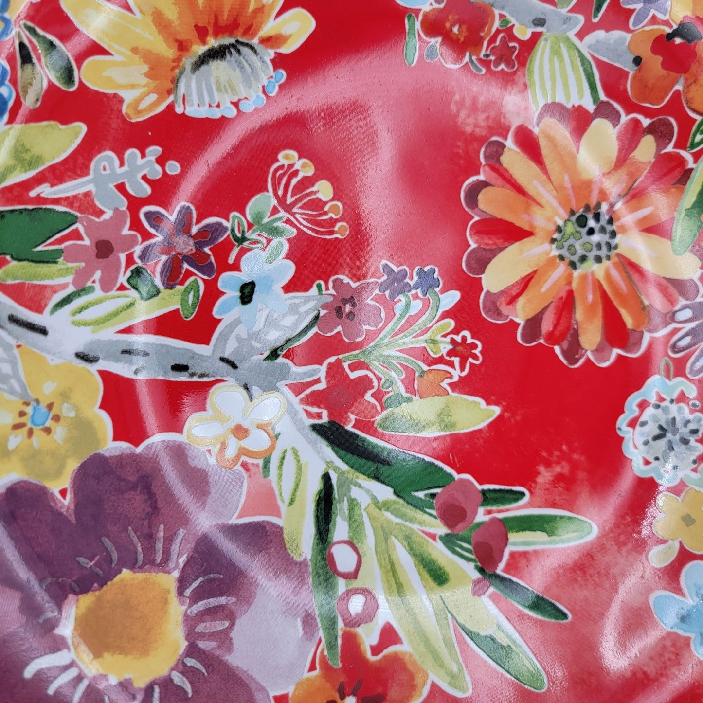 Pier 1 Imports Set Of 4 Floral Porcelain Dinner Plates Red Multicolor