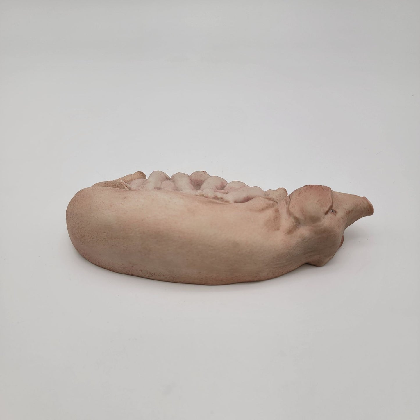 Vintage 1975 Aynsley Porcelain Pig Sow & Litter Figurine