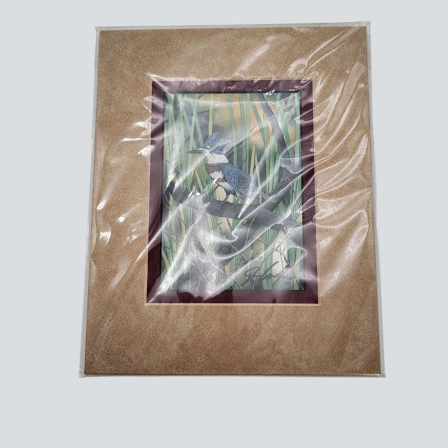 "Belted Kingfisher" Lithograph Print Signed By John Costin