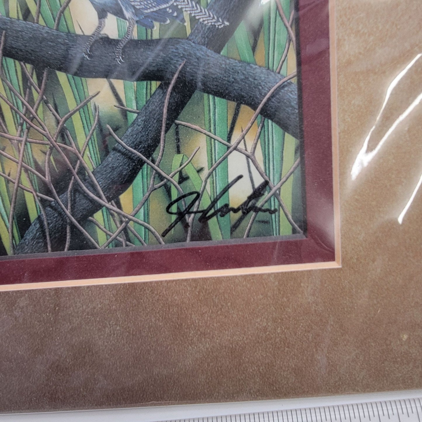 "Belted Kingfisher" Lithograph Print Signed By John Costin