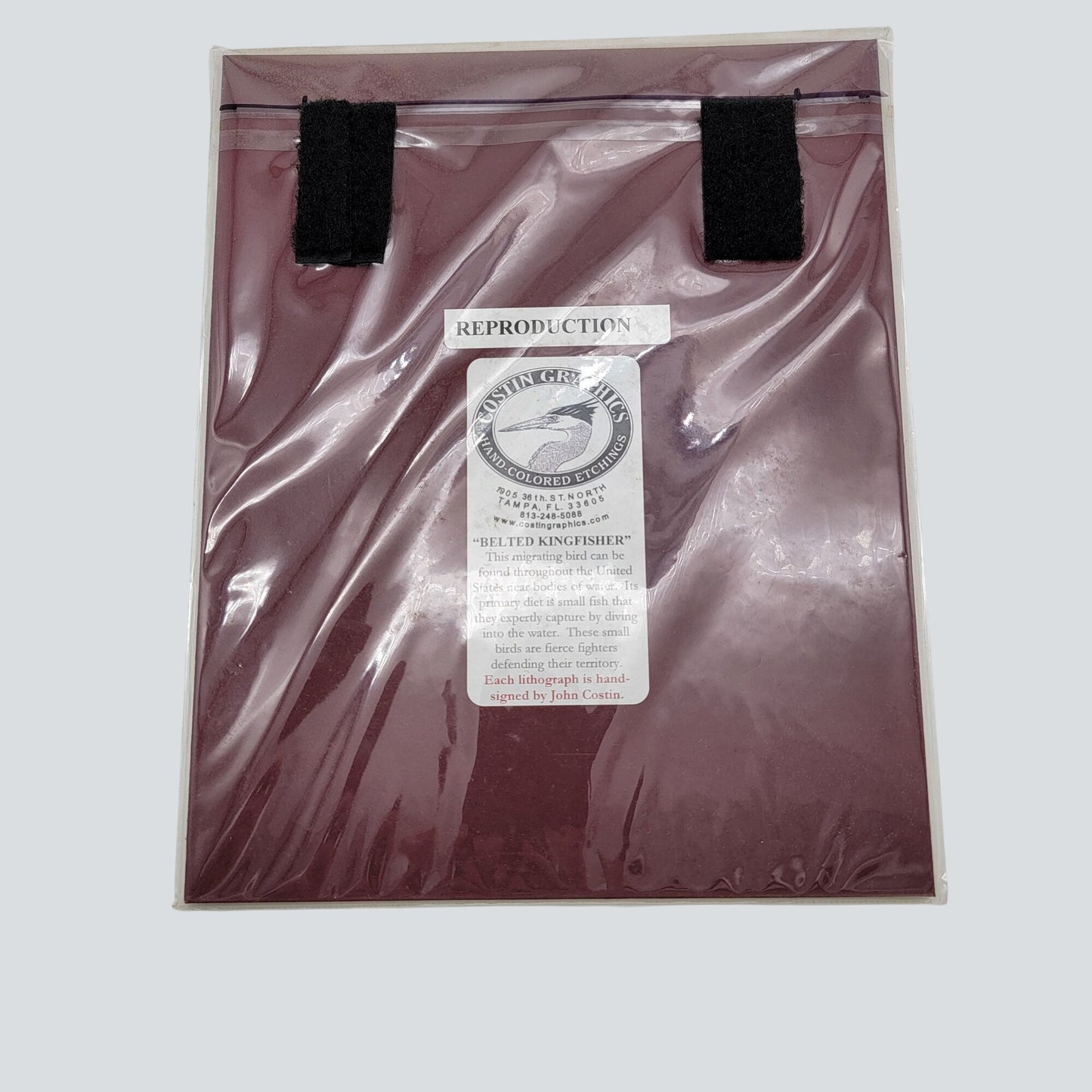 "Belted Kingfisher" Lithograph Print Signed By John Costin