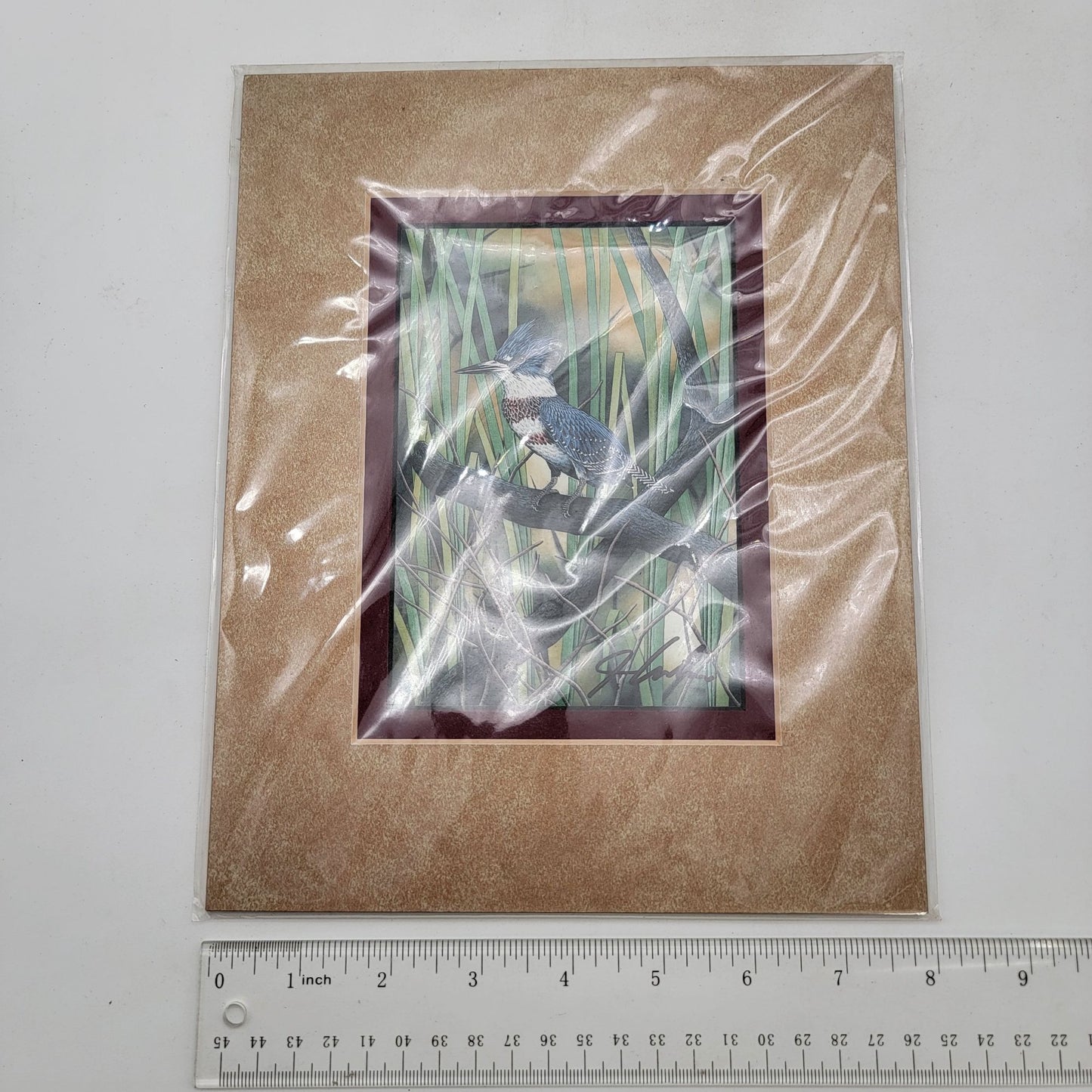 "Belted Kingfisher" Lithograph Print Signed By John Costin