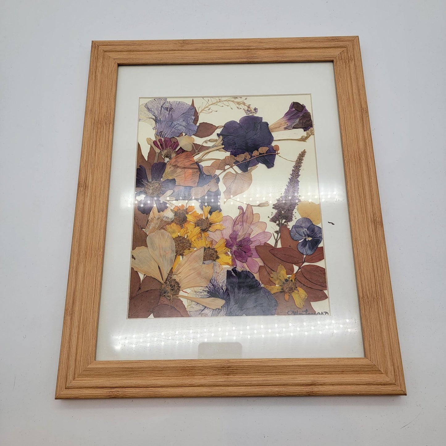 Vintage Pressed Flower Collage Signed Montanaro Framed 12x15"