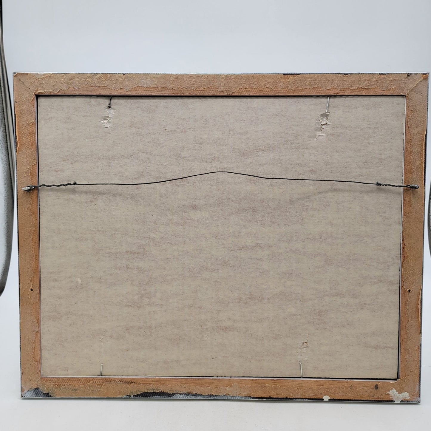 Vintage Original Butterfly Wings Art Asian Landscape