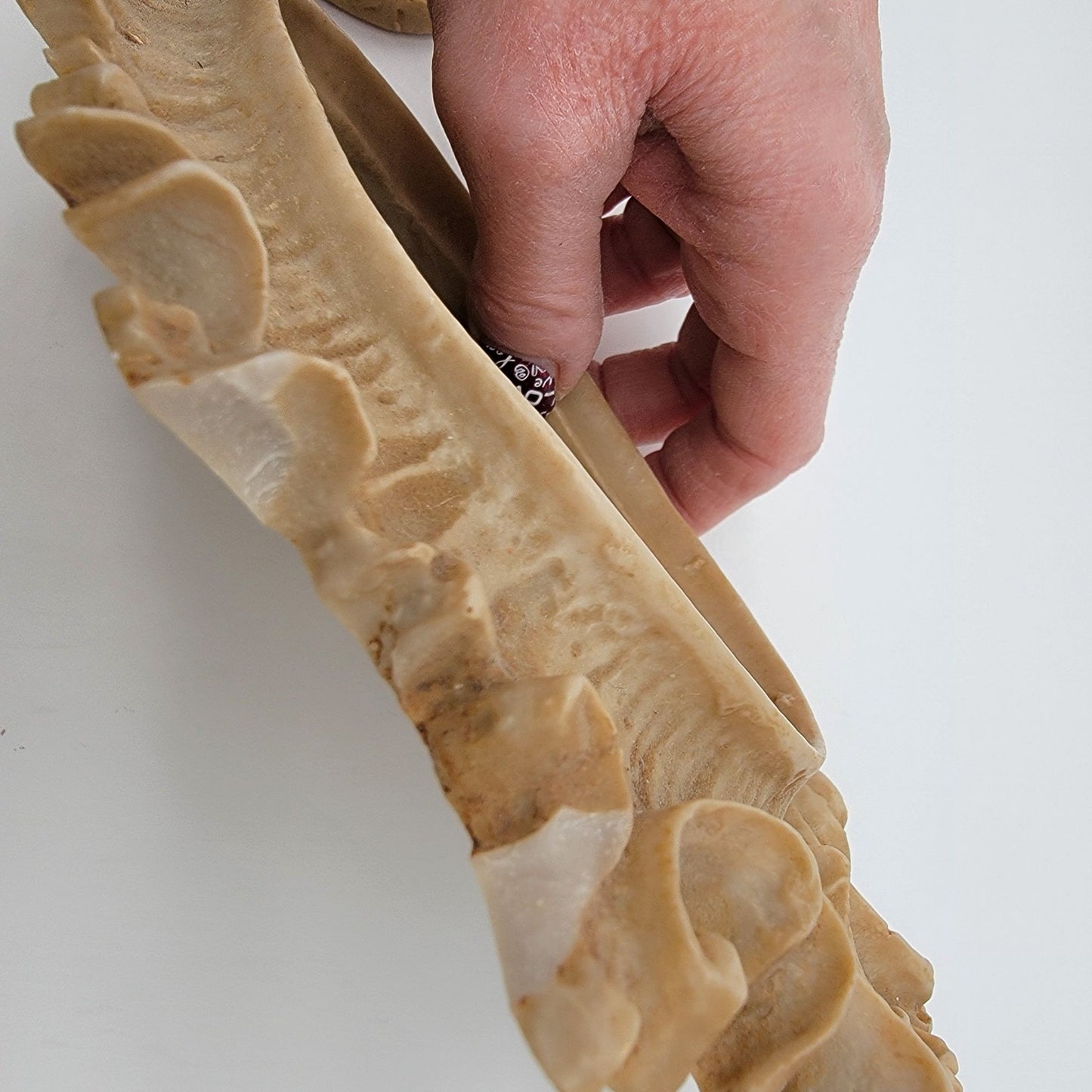 Pair Of Vintage Capodimonte Praying Children Wall Art Plaques With Ornate Frames