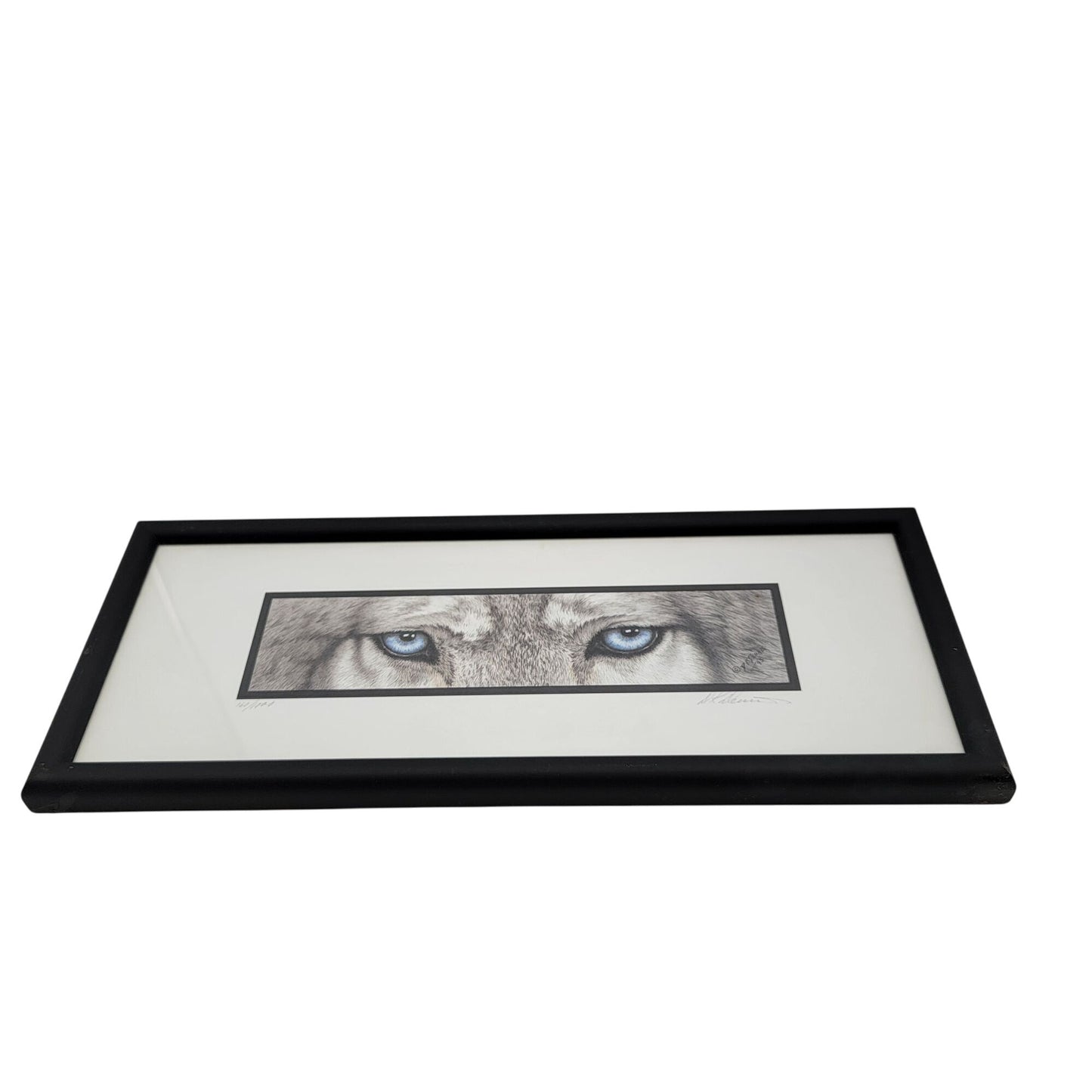 "The Predators" Wolf Blue Eyes Framed Print By DK Dennis 1993