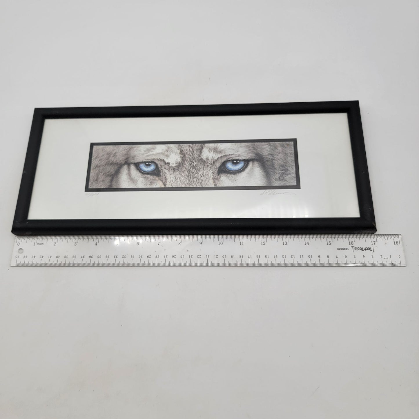 "The Predators" Wolf Blue Eyes Framed Print By DK Dennis 1993