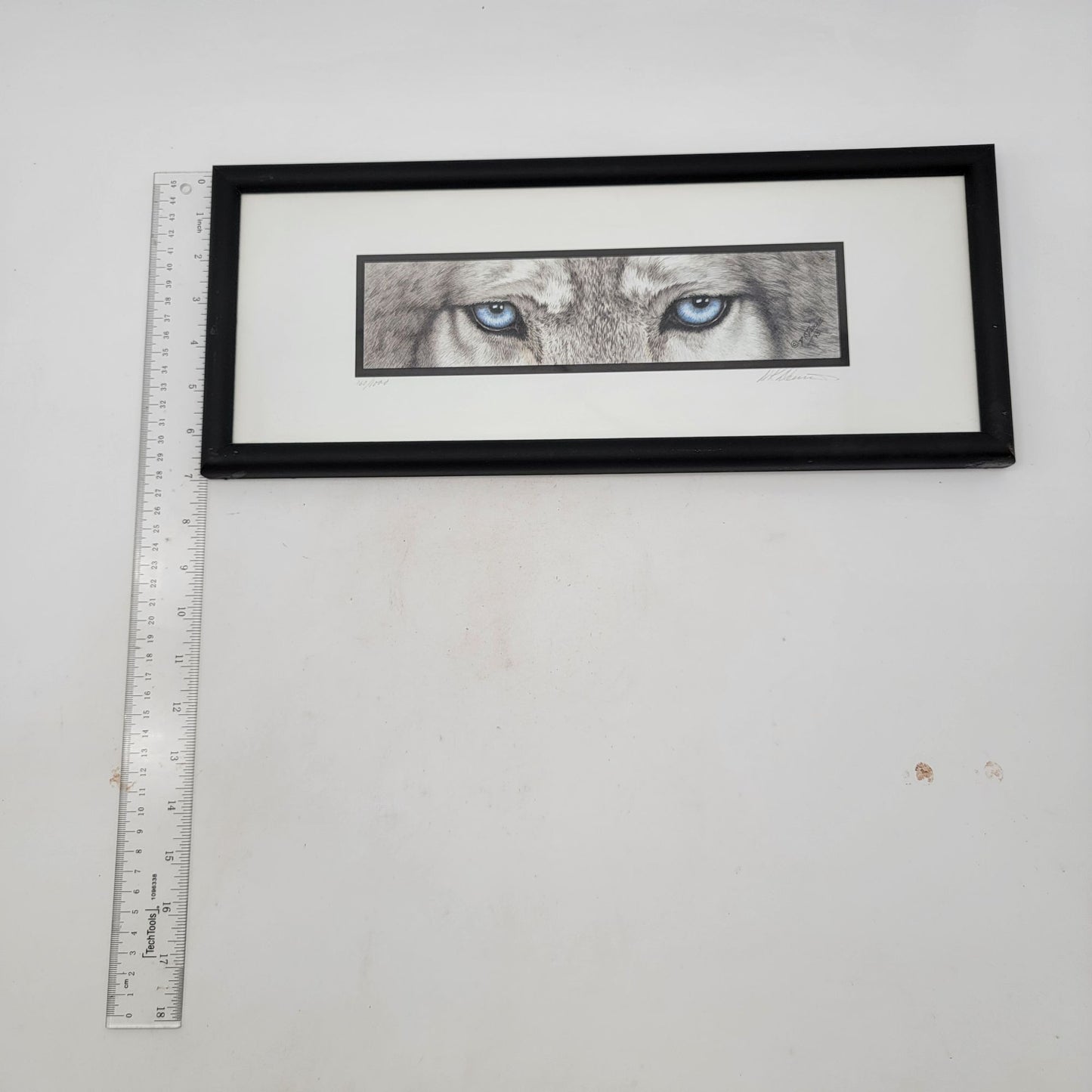 "The Predators" Wolf Blue Eyes Framed Print By DK Dennis 1993