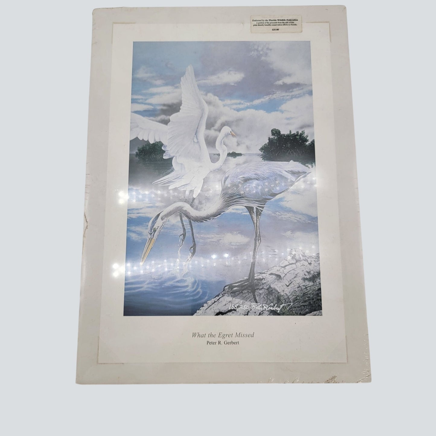 "What The Egret Missed" Wildlife Art Print By Peter R. Gerbert