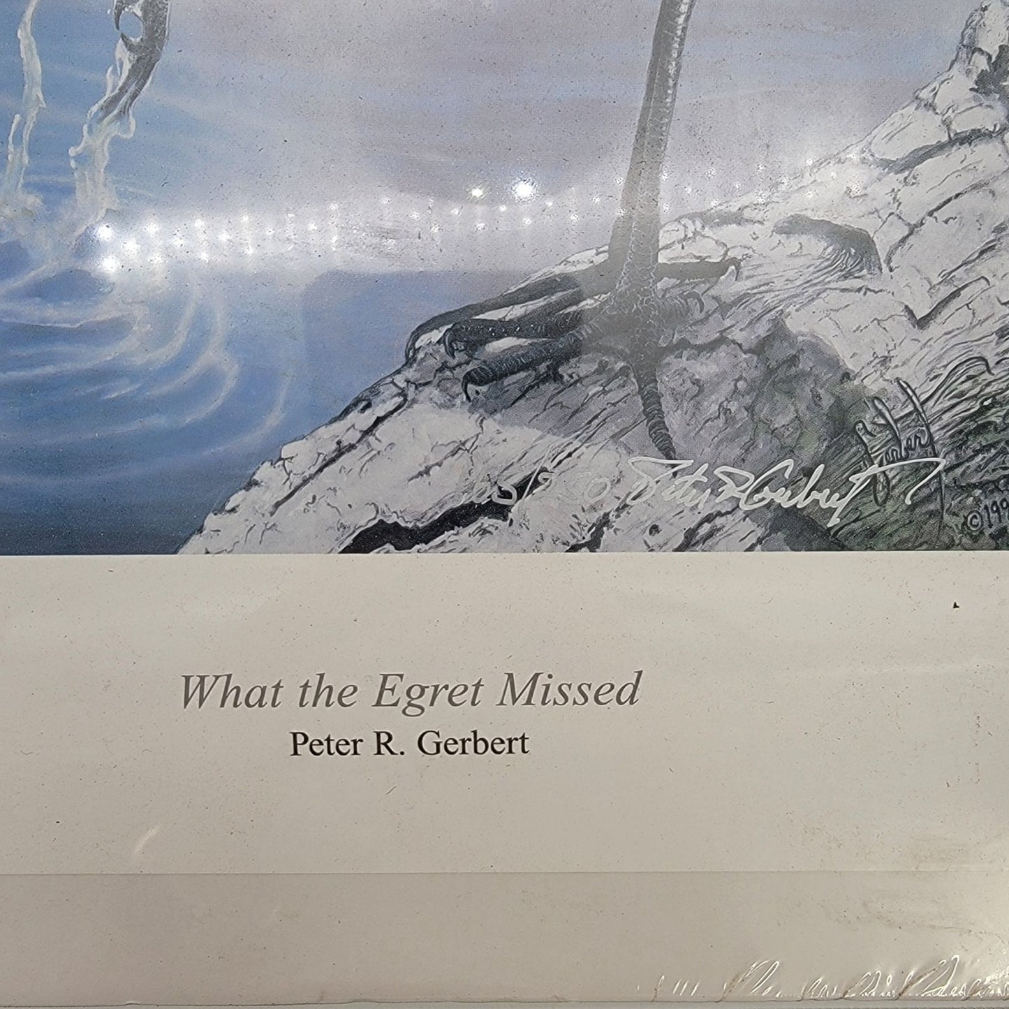 "What The Egret Missed" Wildlife Art Print By Peter R. Gerbert