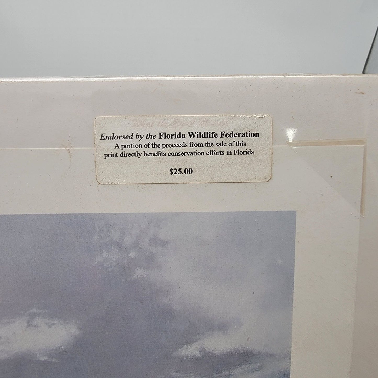 "What The Egret Missed" Wildlife Art Print By Peter R. Gerbert