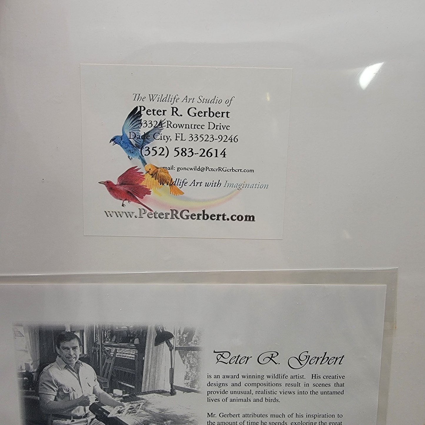 "What The Egret Missed" Wildlife Art Print By Peter R. Gerbert