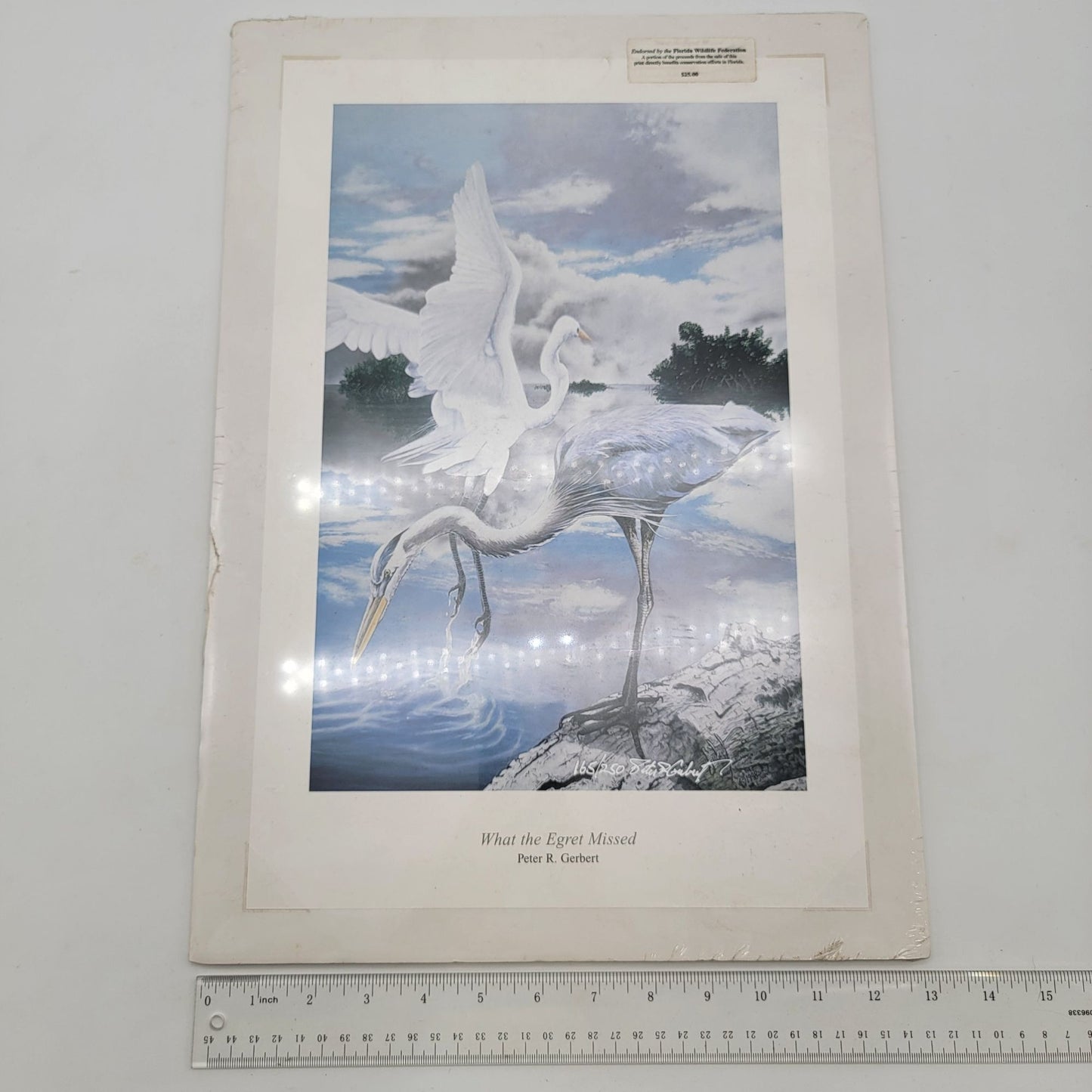 "What The Egret Missed" Wildlife Art Print By Peter R. Gerbert