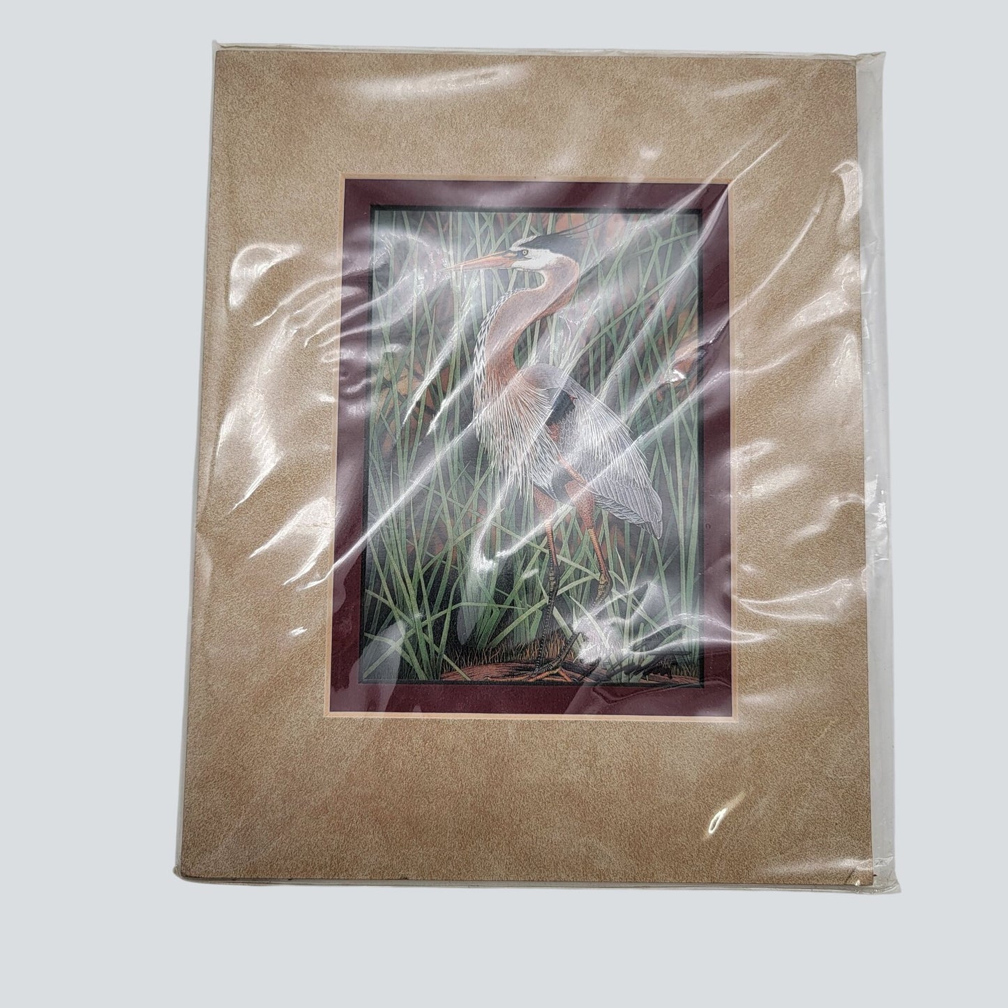 "Great Blue Heron" Bird Matted Lithograph Print Signed By John Costin