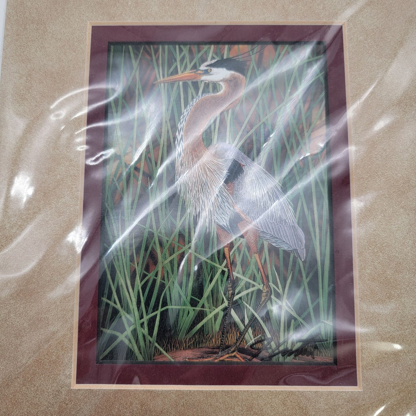 "Great Blue Heron" Bird Matted Lithograph Print Signed By John Costin