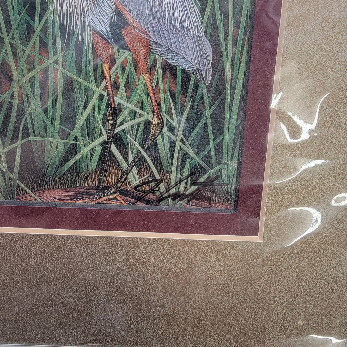 "Great Blue Heron" Bird Matted Lithograph Print Signed By John Costin