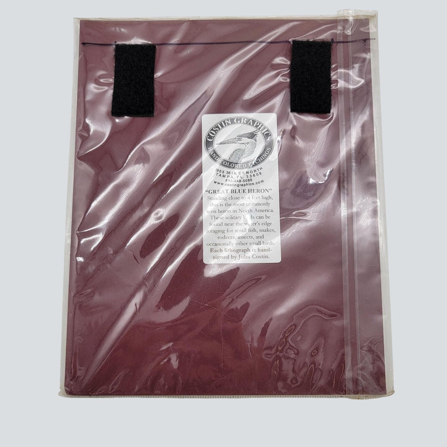 "Great Blue Heron" Bird Matted Lithograph Print Signed By John Costin