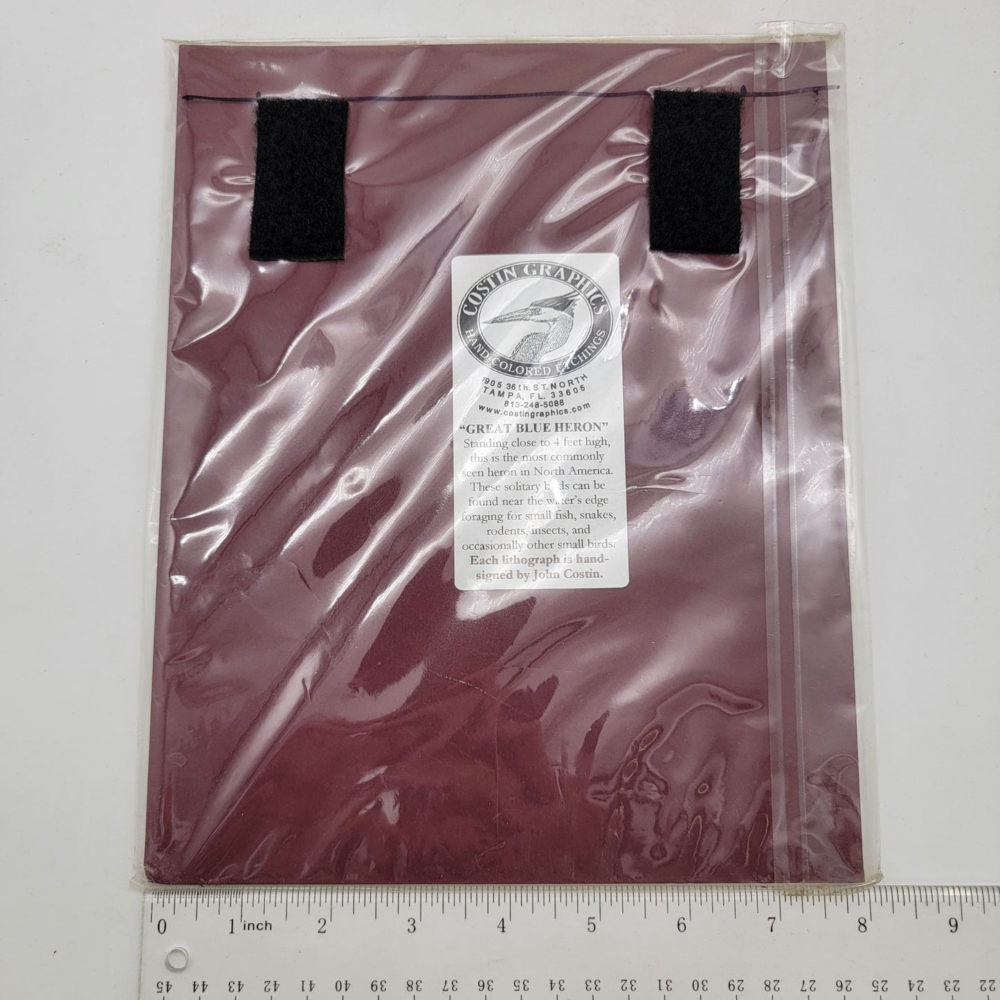 "Great Blue Heron" Bird Matted Lithograph Print Signed By John Costin