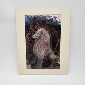 Descriptive image text