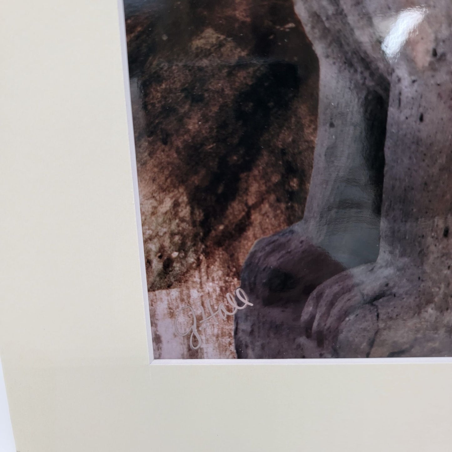 2019 "Protector" By Gina Geldbach-Hall 8"x12" Print  Firegal Designs Certificate Of Authenticity