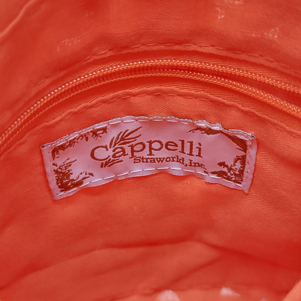 Cappelli Straworld Crochet Raffia Crossbody Purse With Beaded Strap Orange