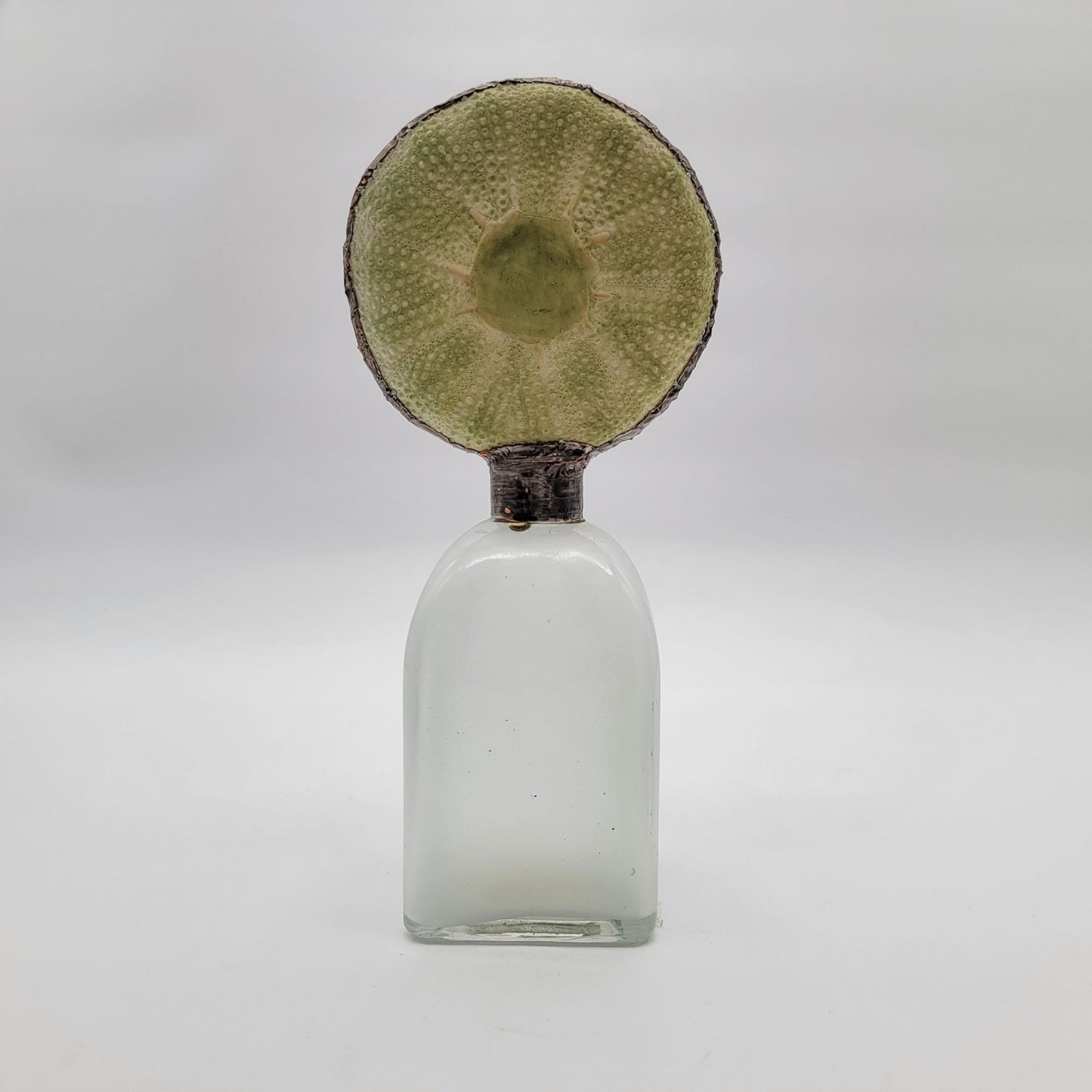 Isabeau Grey for Pottery Barn Green Sea Urchin Perfume Bottle