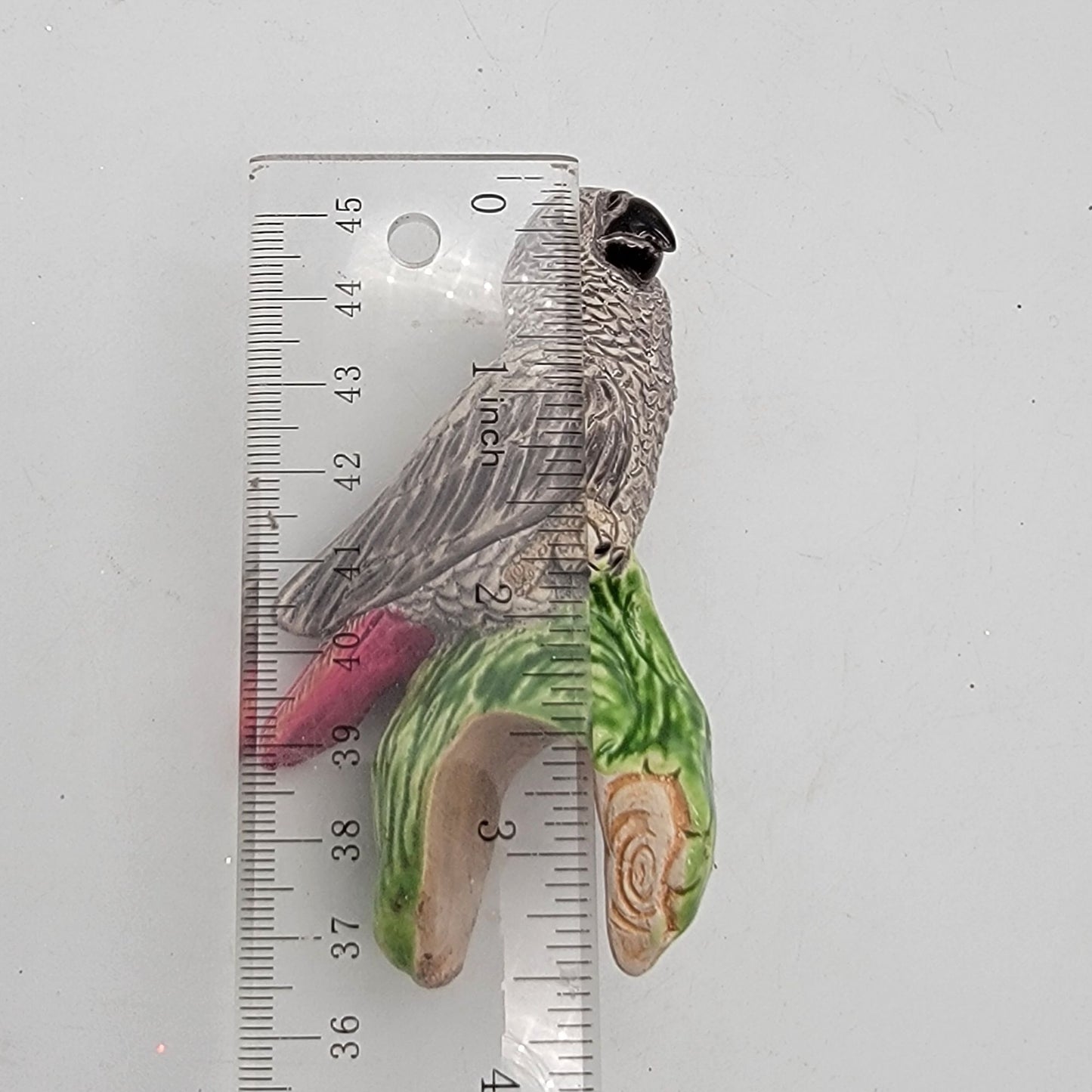 African Grey Parrot Pot Sitter Coad Peru
