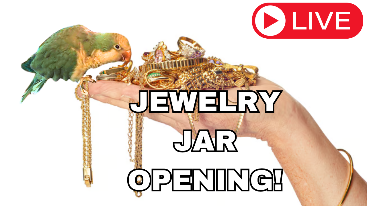 JEWELRY JAR OPENING #6 - Concho Copper Brace - CRM7464