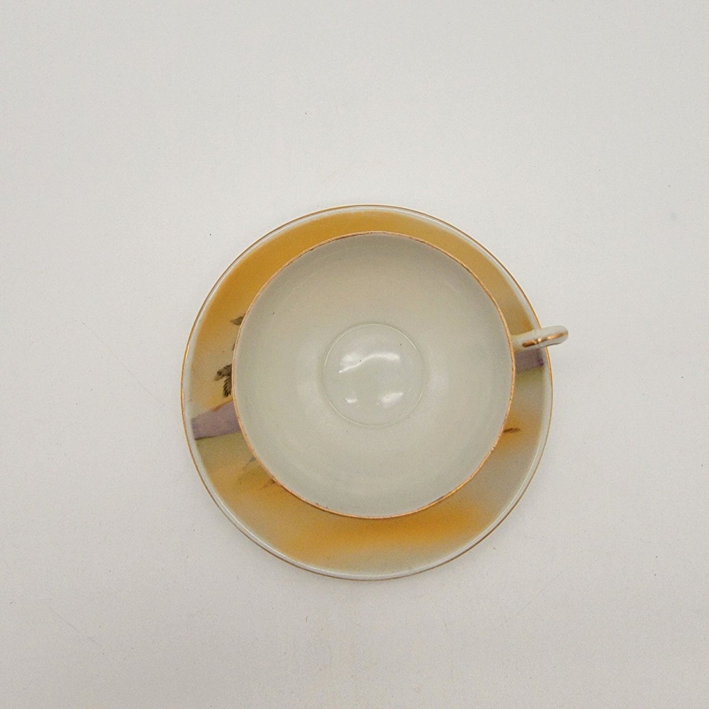 Antique Camel Scene S&K Nippon Hand Painted Teacup & Saucer