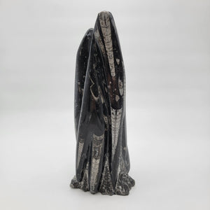 Large Orthoceras Fossil Tower Sculpture