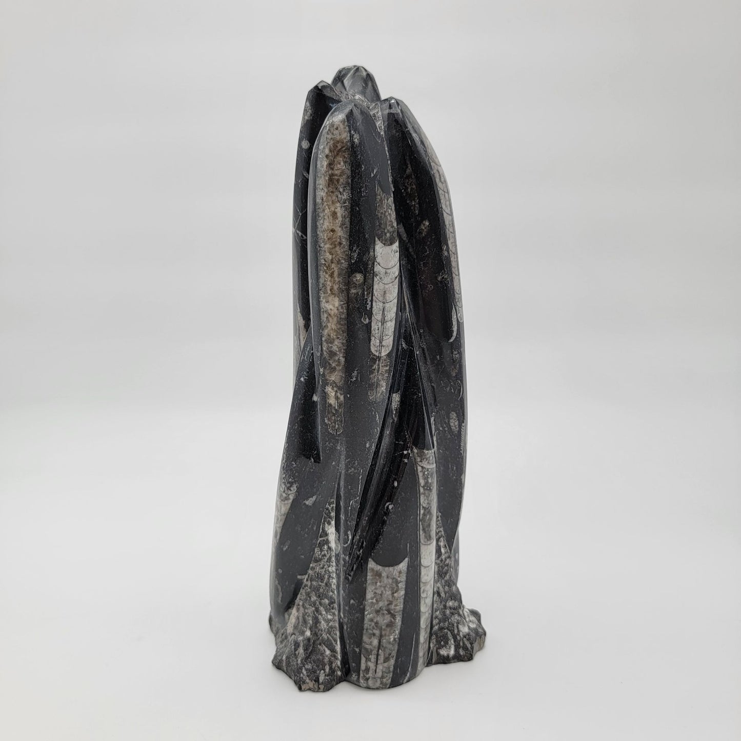 Large Orthoceras Fossil Tower Sculpture