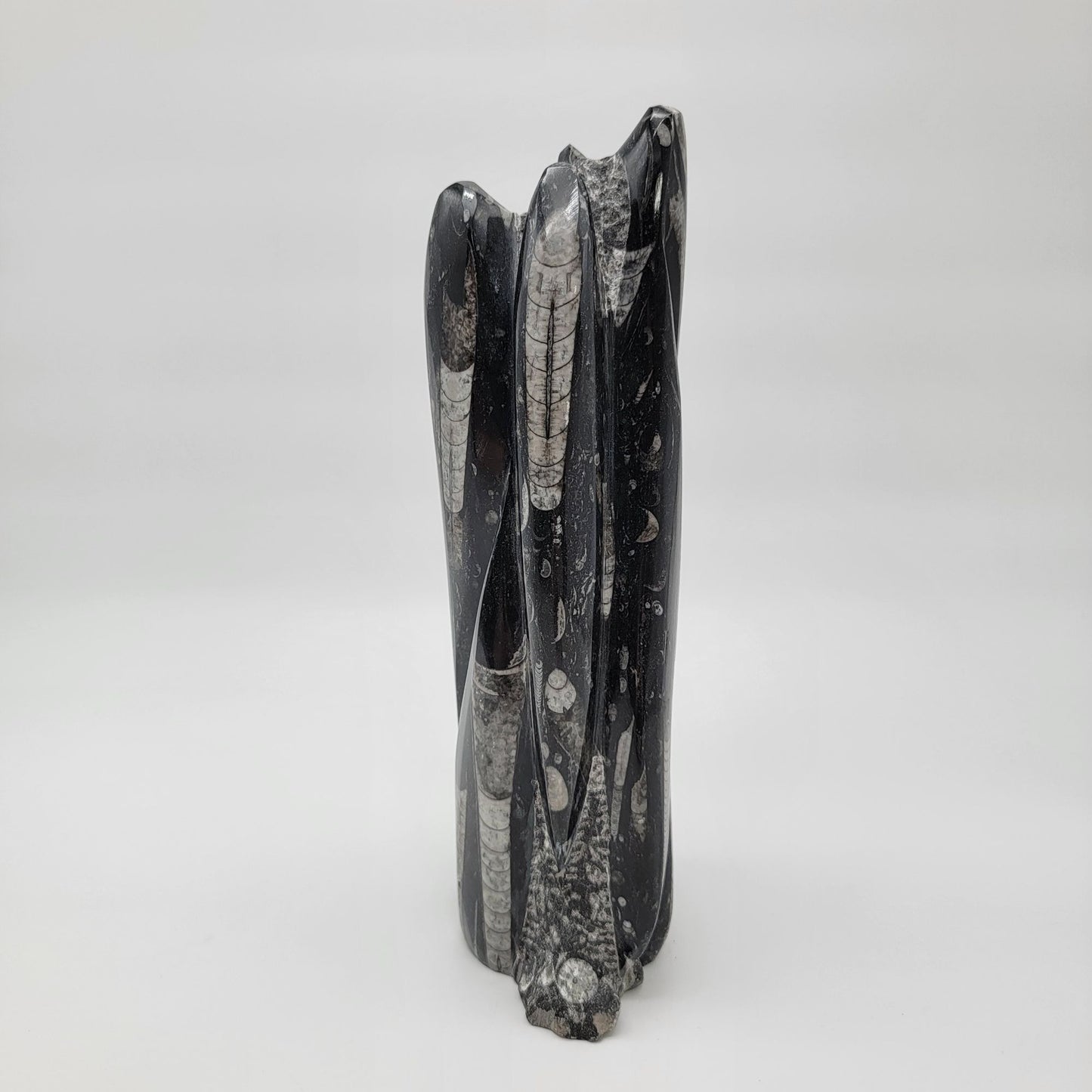 Large Orthoceras Fossil Tower Sculpture