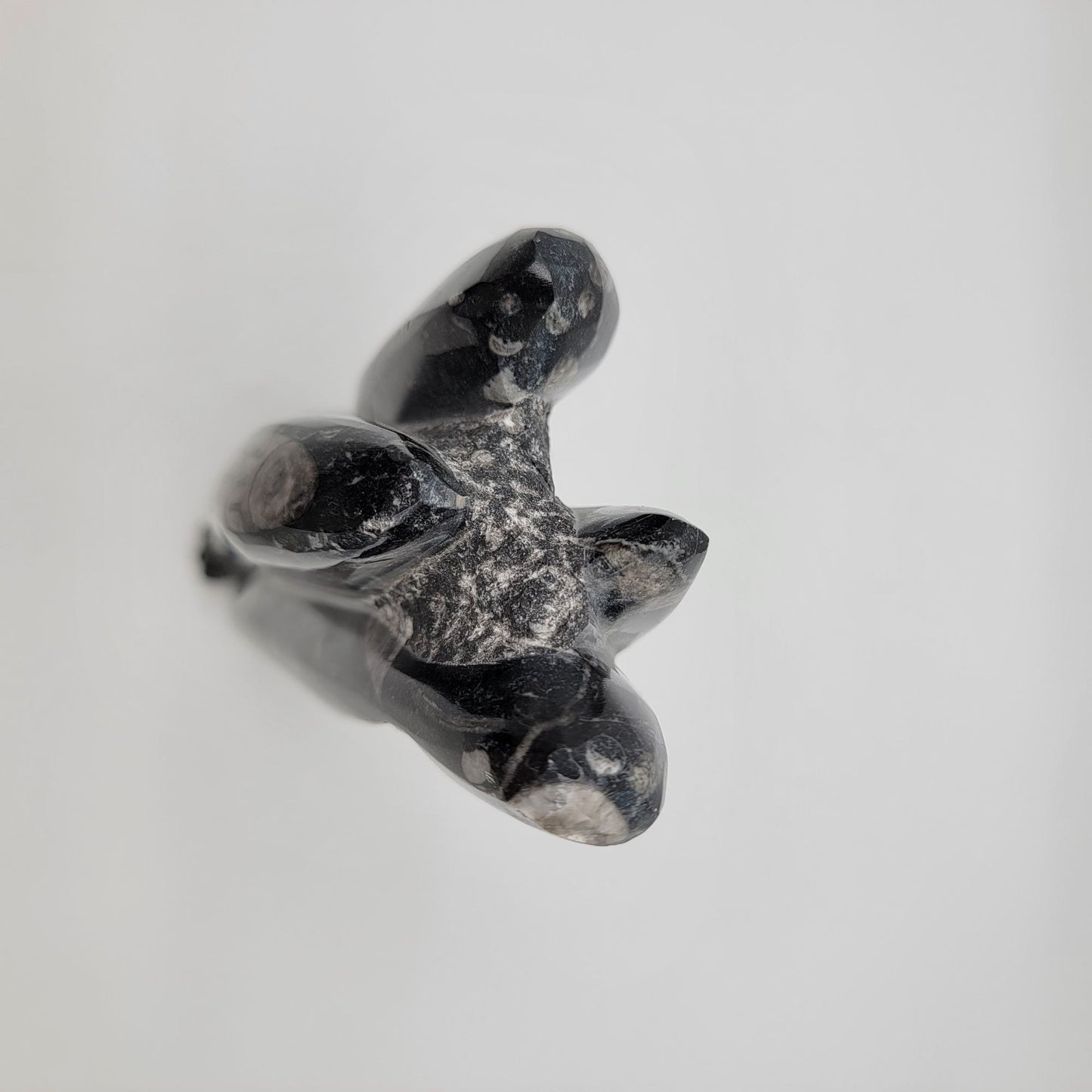 Large Orthoceras Fossil Tower Sculpture