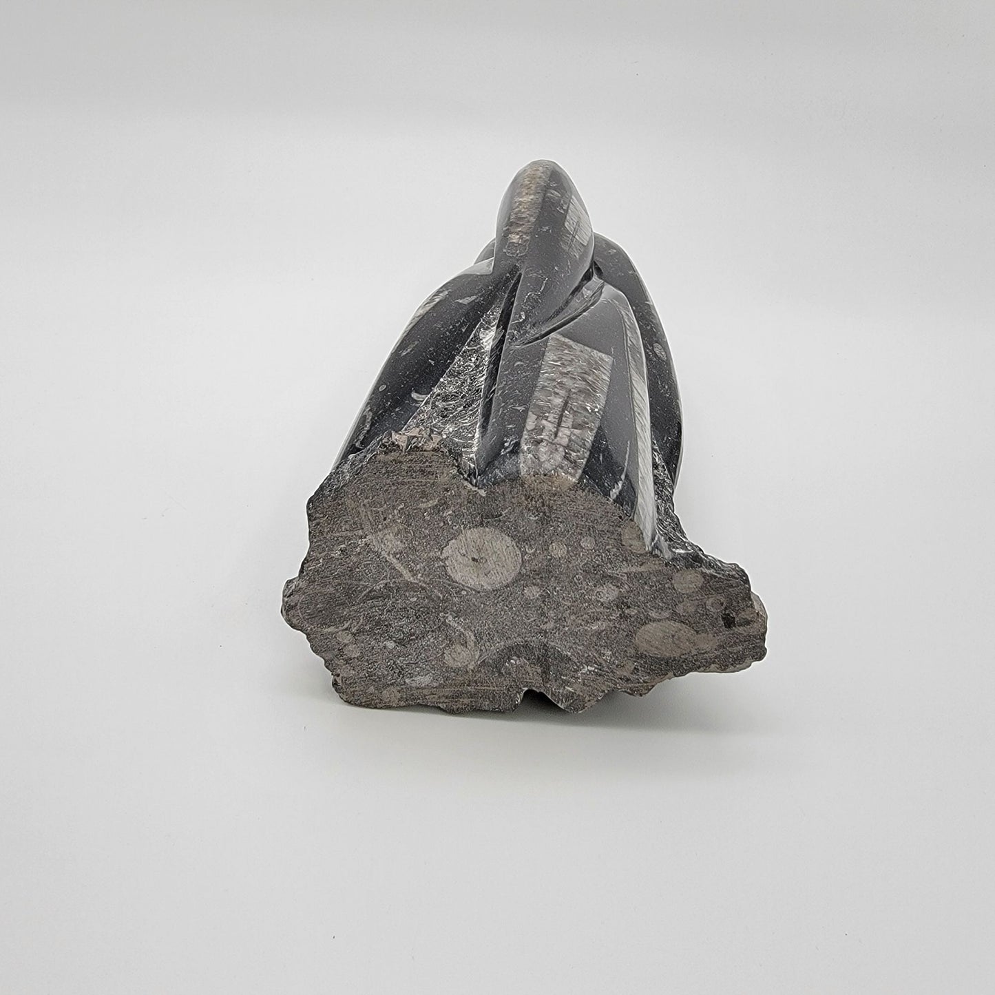Large Orthoceras Fossil Tower Sculpture
