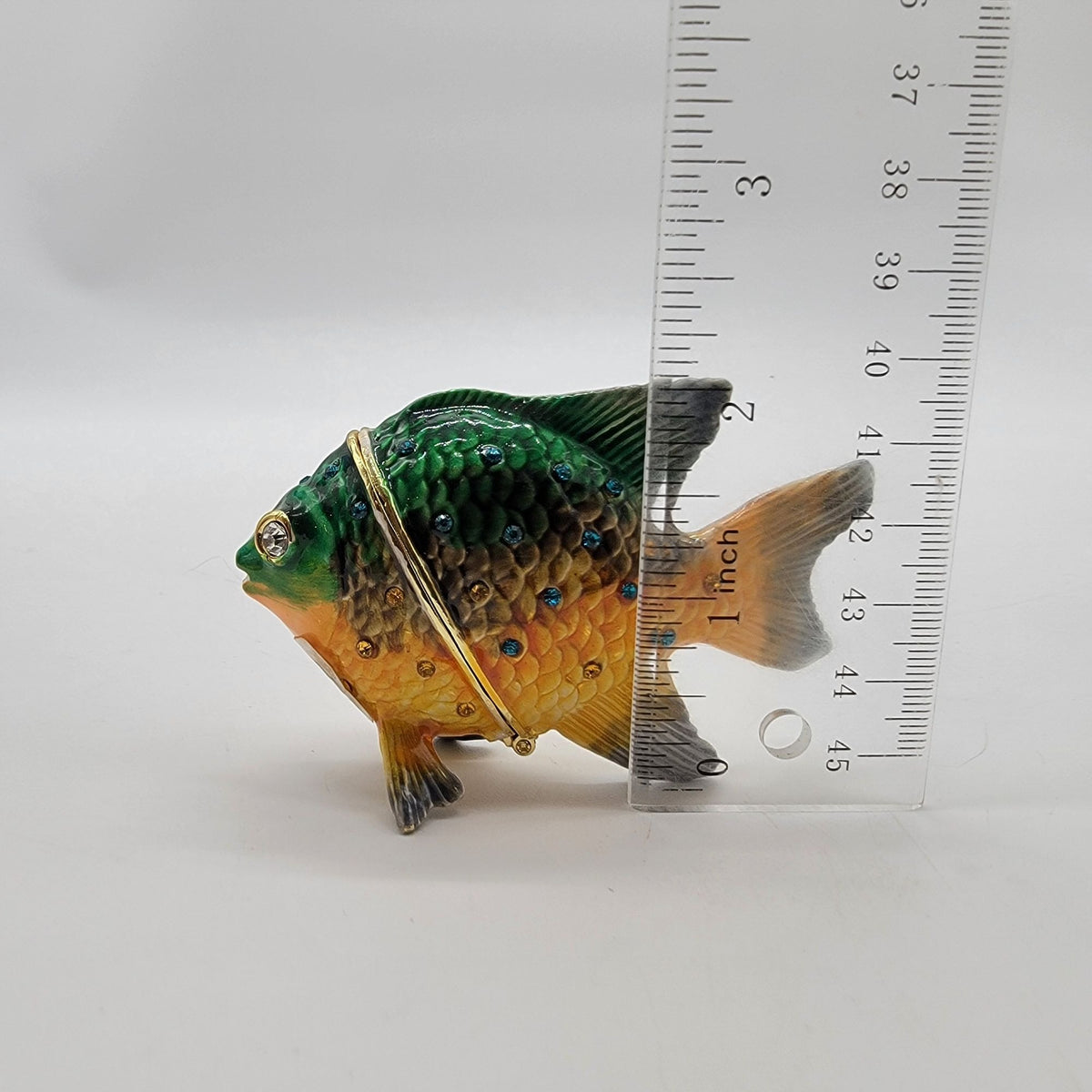 Artform Pacific Jewel Damselfish Trinket Box Tropical Fish