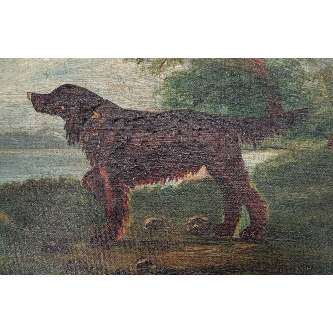 19th C Original Oil Painting Hunting Dog Irish Setter