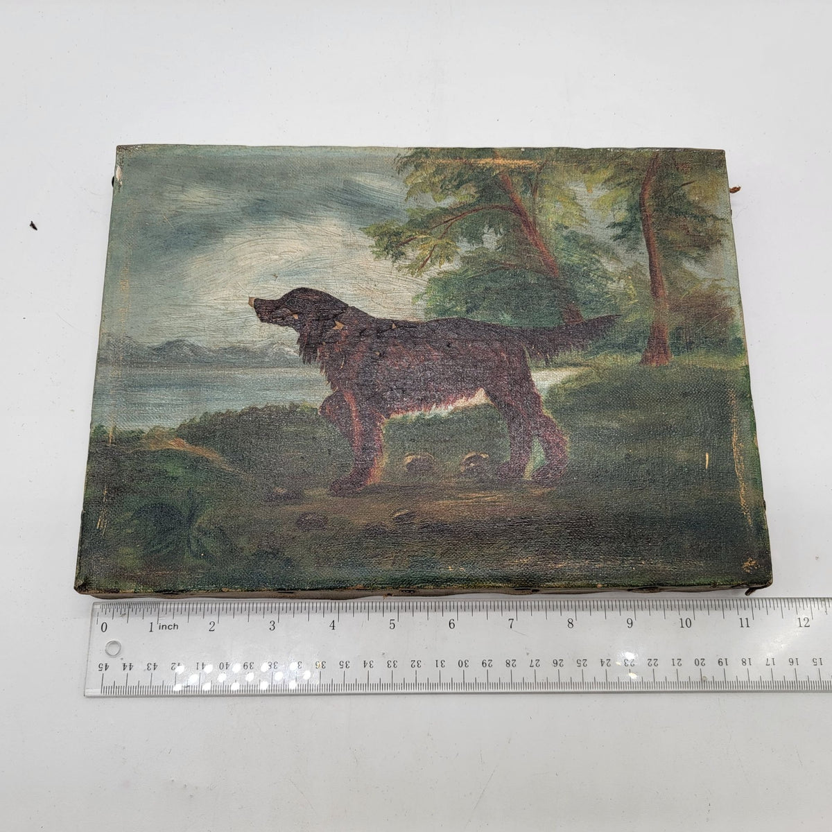 19th C Original Oil Painting Hunting Dog Irish Setter