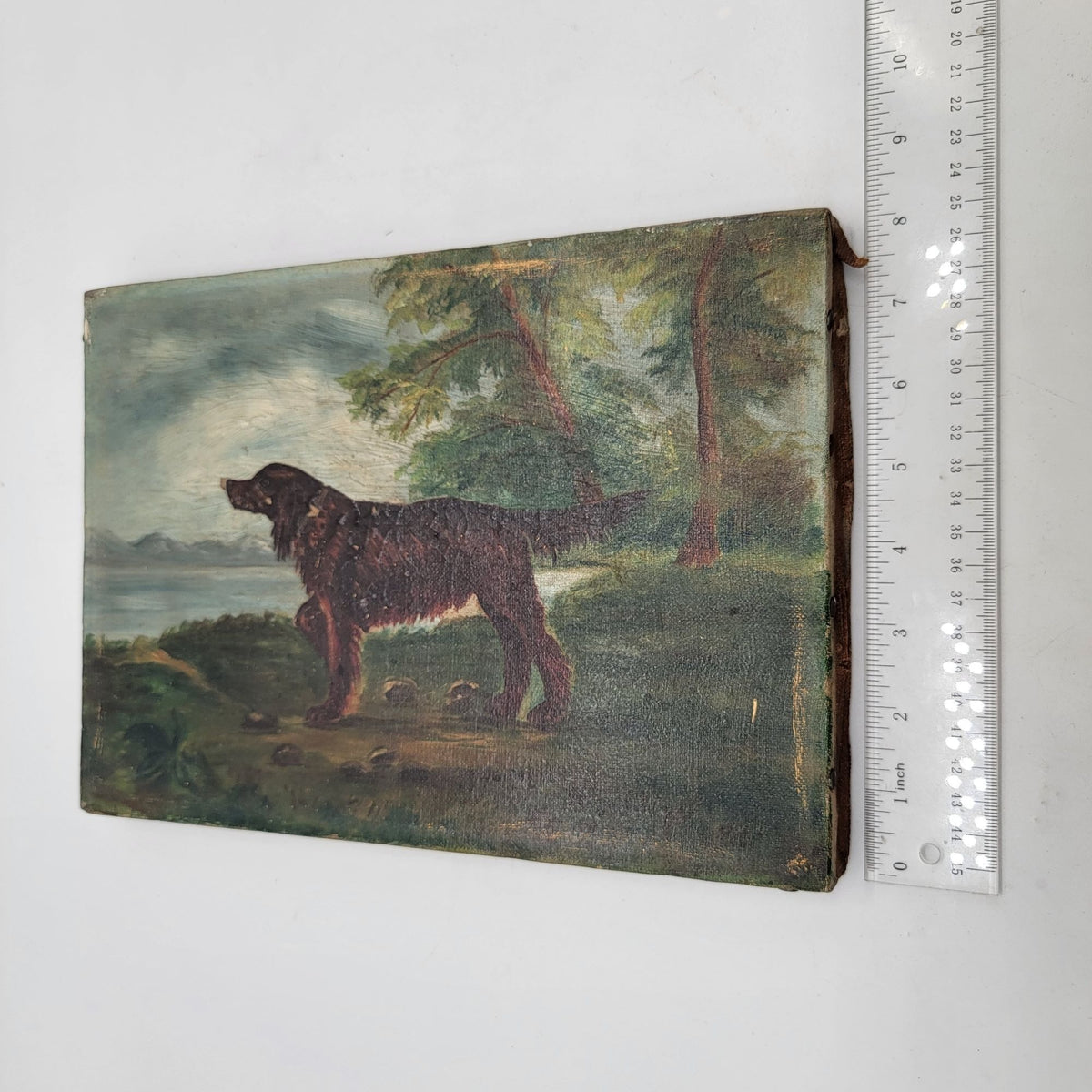 19th C Original Oil Painting Hunting Dog Irish Setter