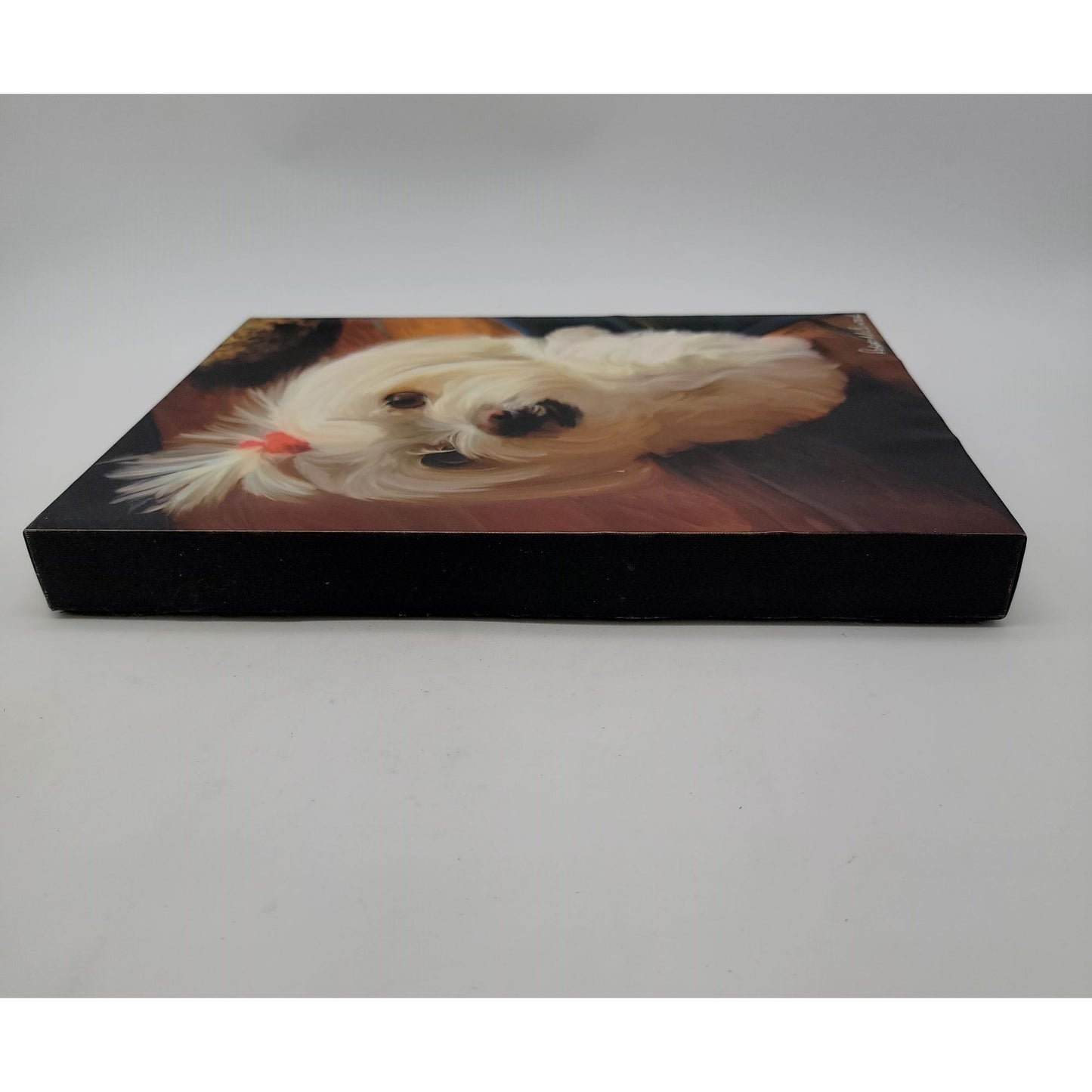 Robert McClintock Maltese Dog Canvas Print Wall Art