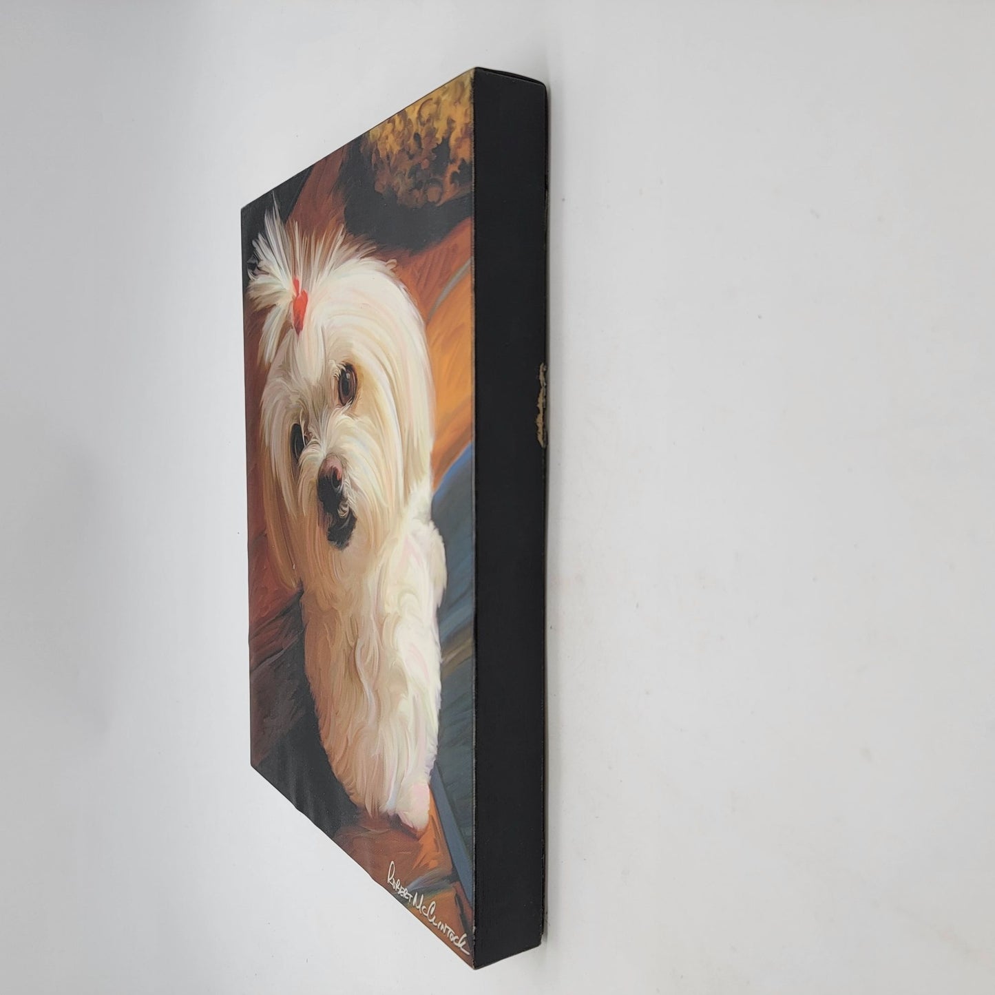 Robert McClintock Maltese Dog Canvas Print Wall Art