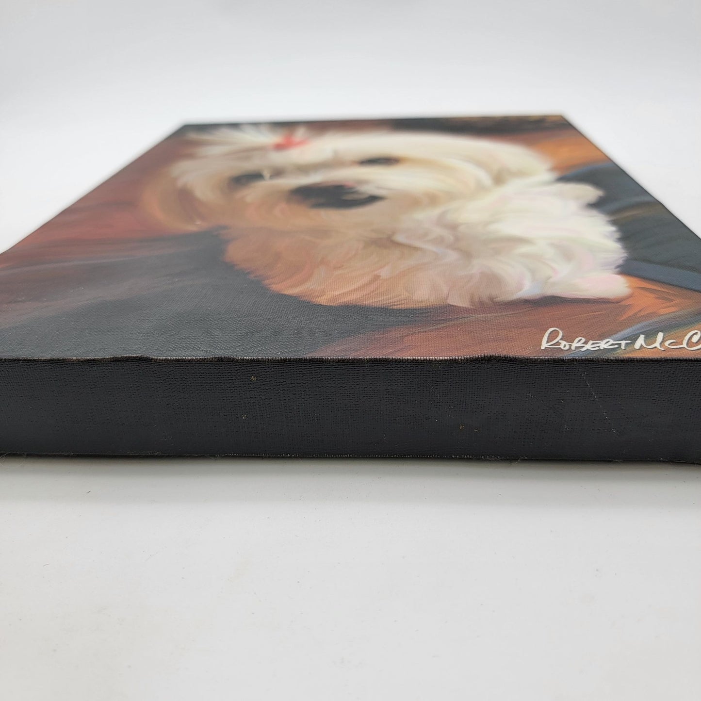 Robert McClintock Maltese Dog Canvas Print Wall Art