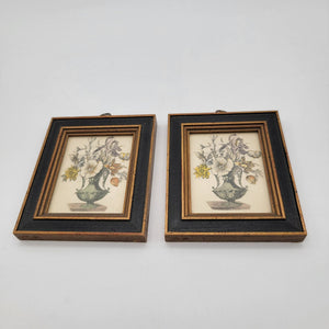 Pair Of Vintage Framed Botanical Art Prints