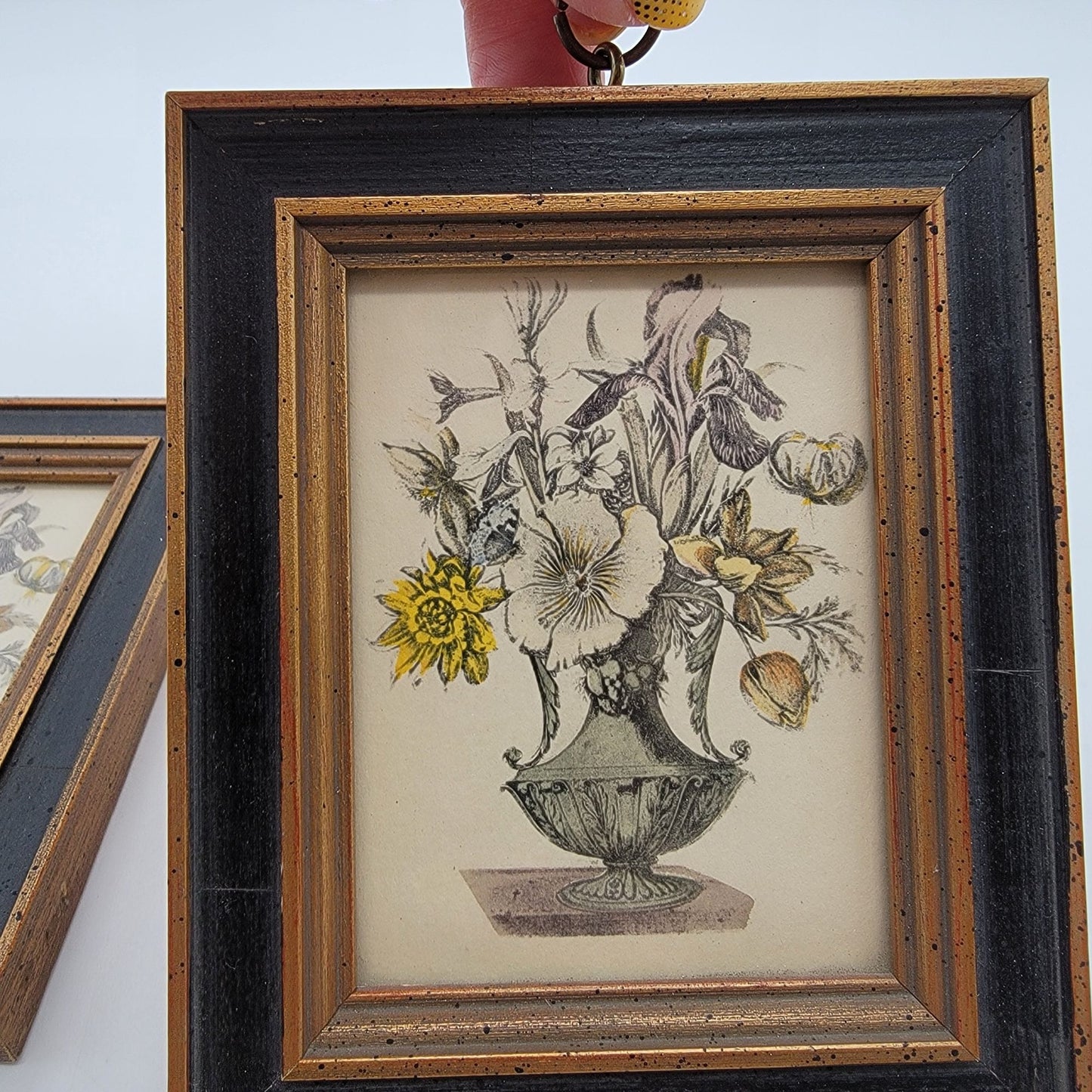 Pair Of Vintage Framed Botanical Art Prints