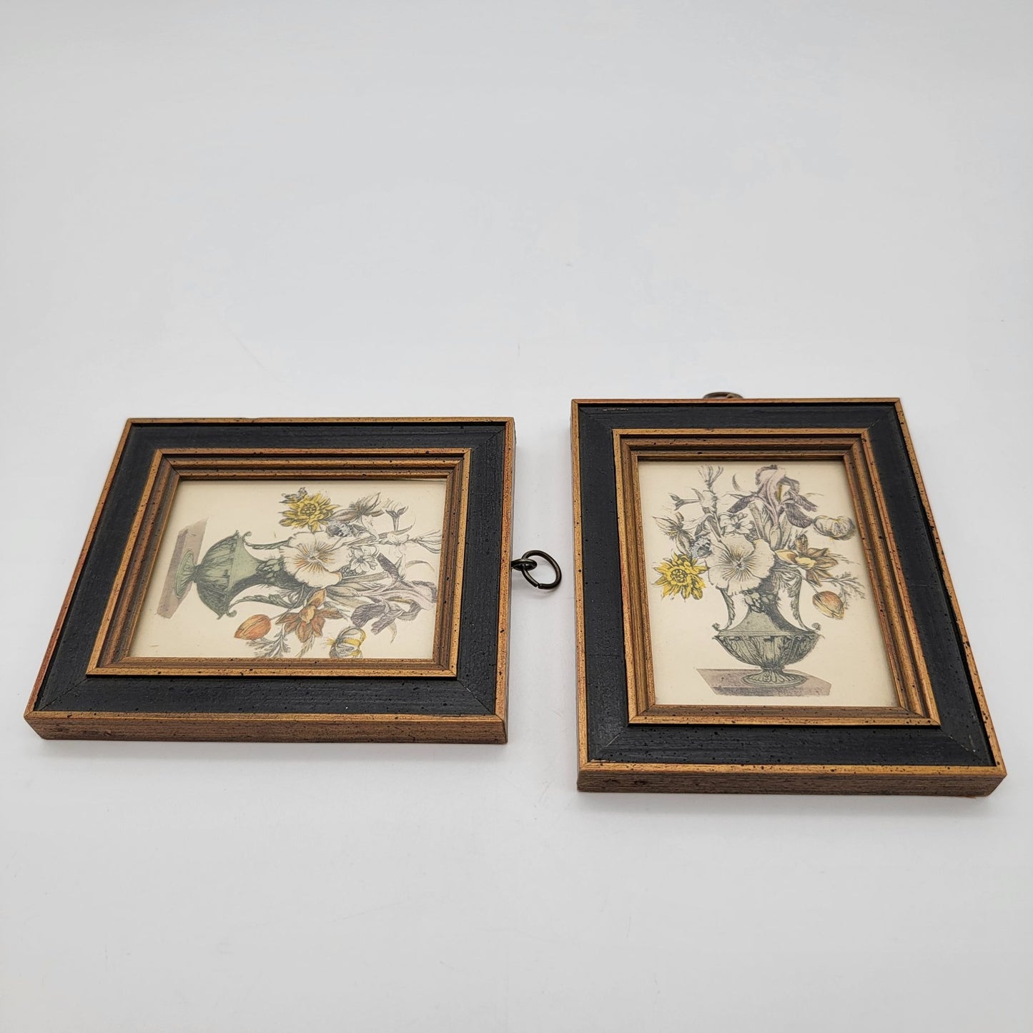 Pair Of Vintage Framed Botanical Art Prints