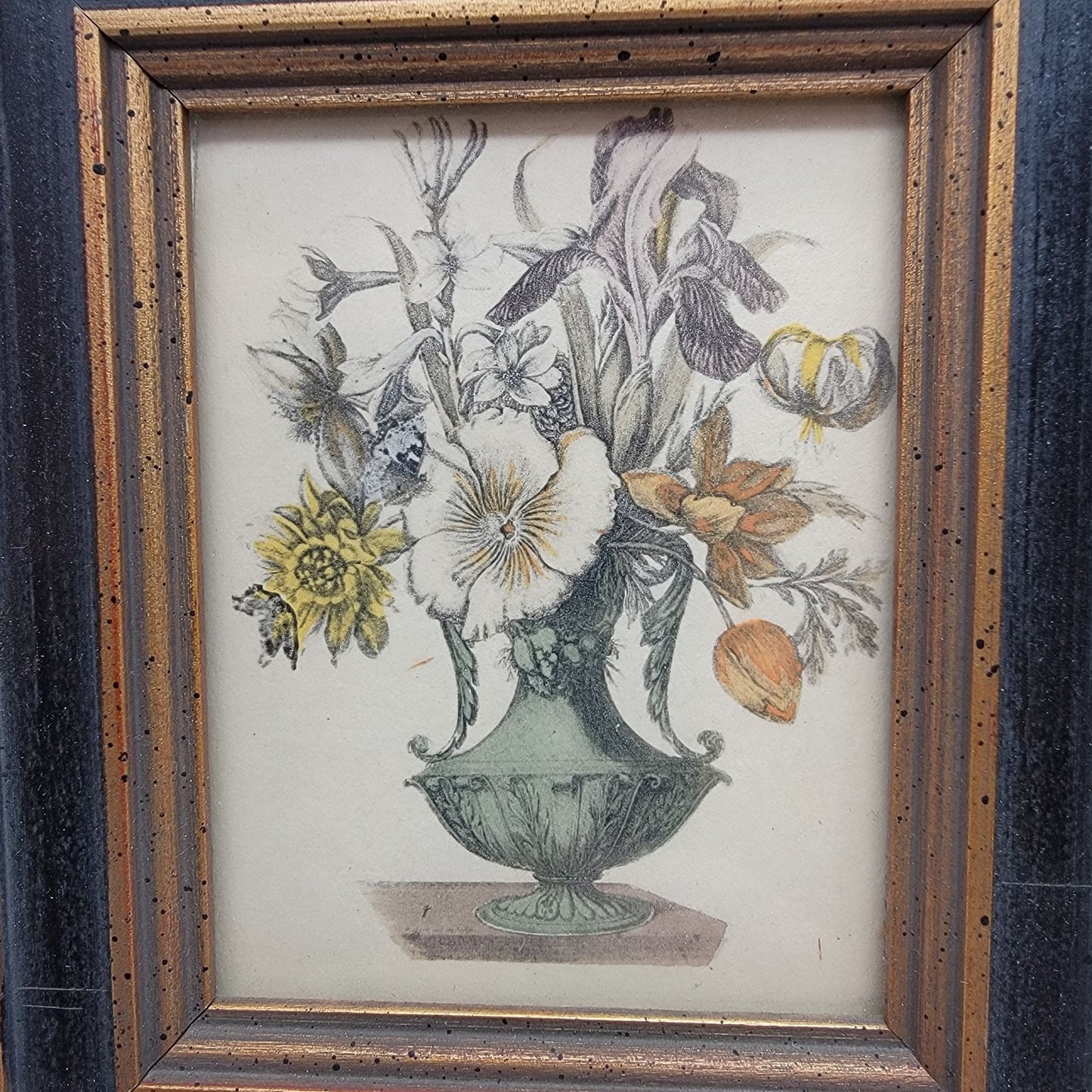 Pair Of Vintage Framed Botanical Art Prints