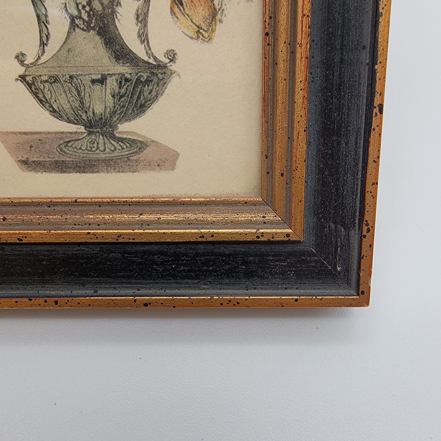 Pair Of Vintage Framed Botanical Art Prints