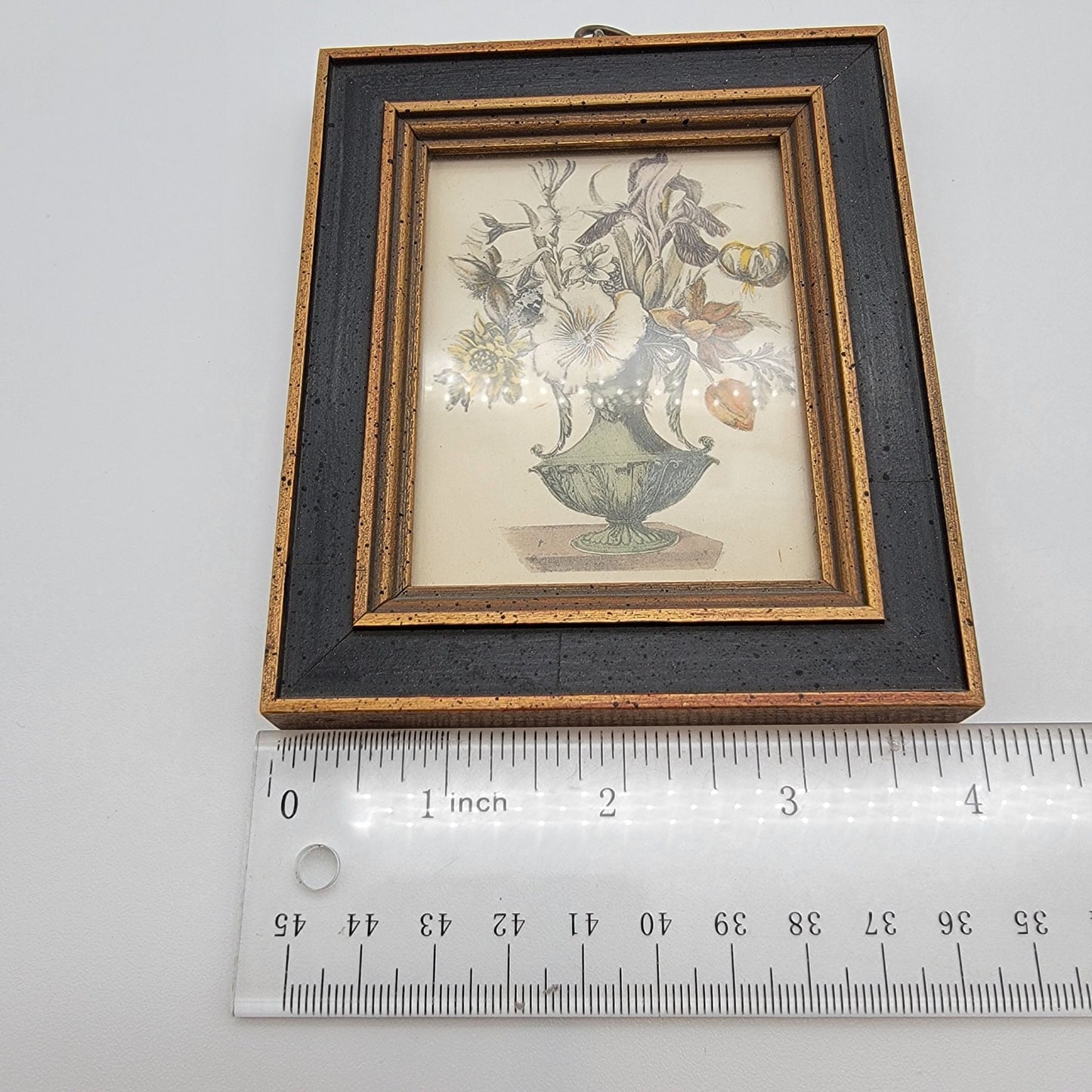 Pair Of Vintage Framed Botanical Art Prints