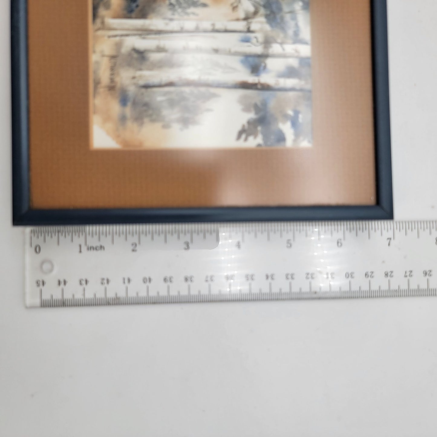 Signed Watercolor Birch Trees By N. Brown  Horizontal Framed & Matted