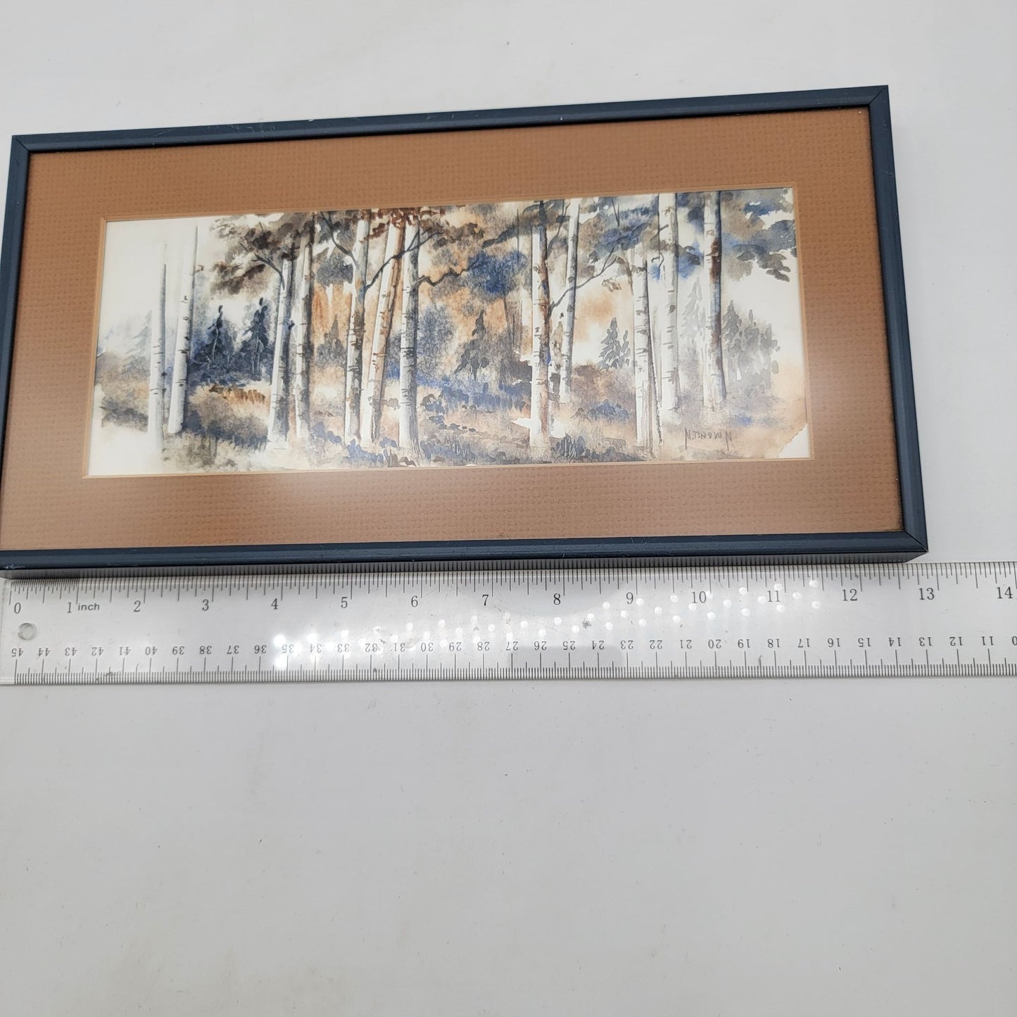 Signed Watercolor Birch Trees By N. Brown  Horizontal Framed & Matted