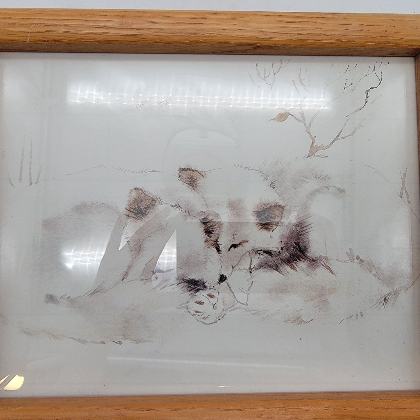 Vintage Sleeping Foxes Oak Framed Print